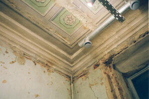 Mold Growth on Walls and Ceiling
